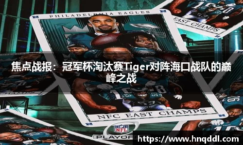 DG视讯