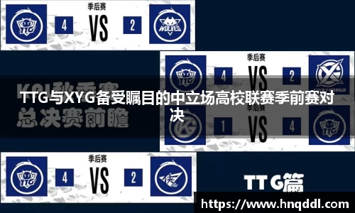 DG视讯官网