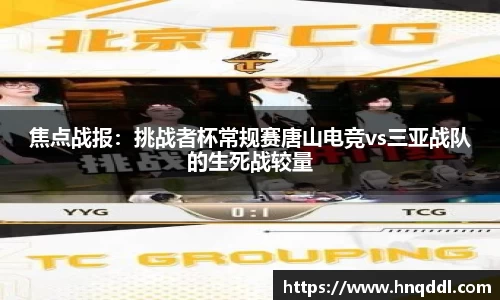 DG视讯